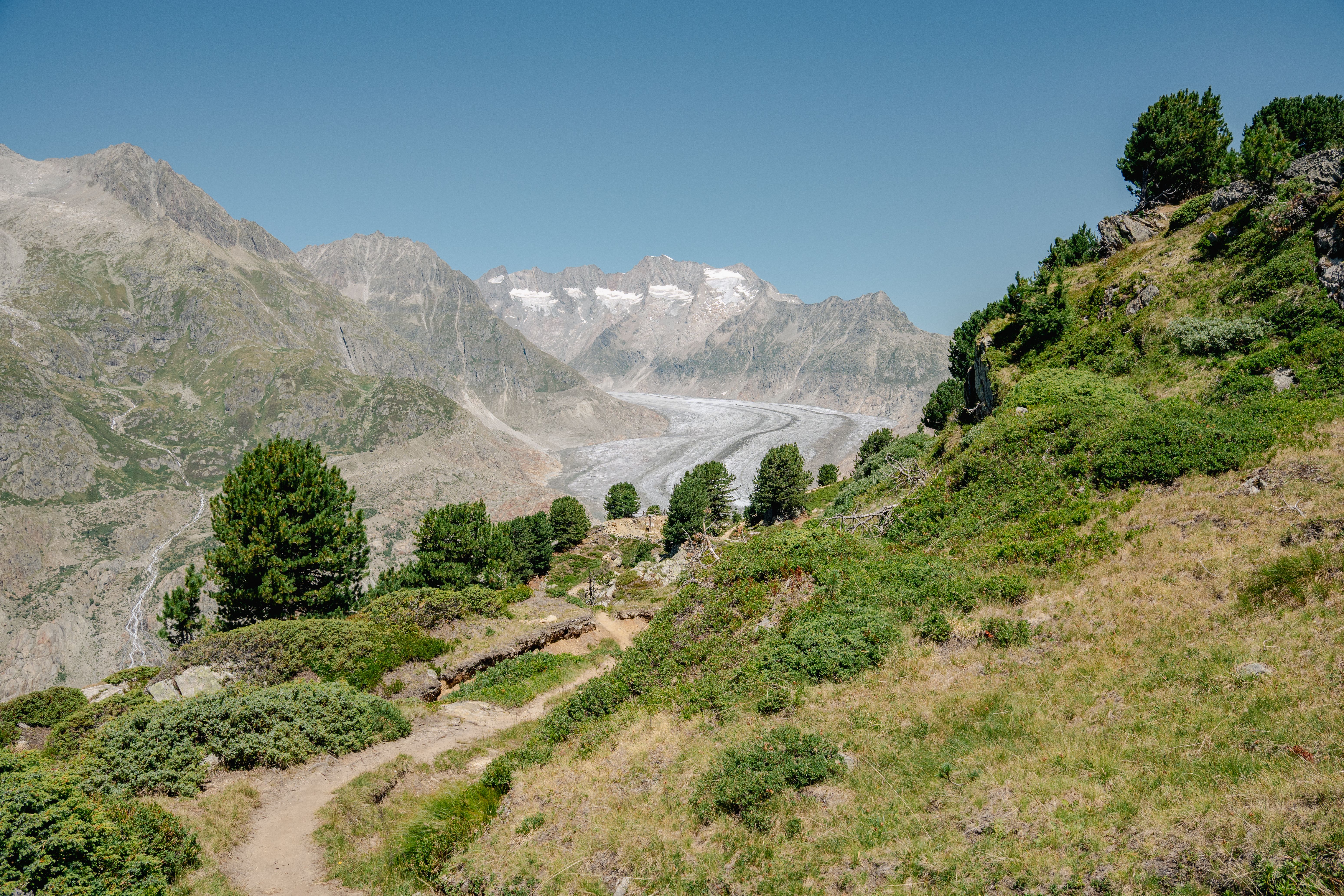 Découverte Corse