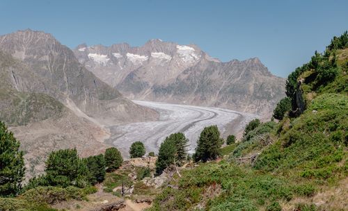 Free Scenic view of the Aletsch Glacier amidst Swiss Alps during summer. Stock Photo