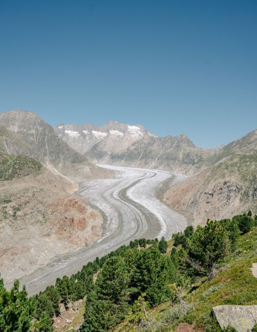Free A breathtaking view of the Aletsch Glacier under clear blue skies during summer. Stock Photo