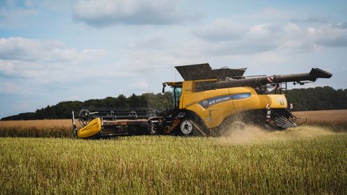 Free Combine harvester operating in a canola field during harvest season in Hohenhorn, Schleswig-Holstein, Germany. Stock Photo