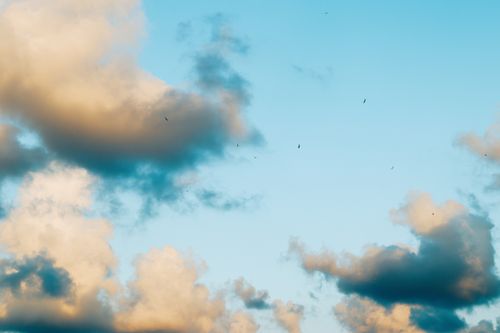 Free Captivating view of a blue sky filled with soft clouds and soaring birds. Stock Photo