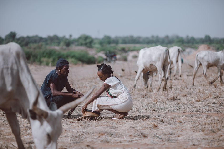 Two farmers squat in a dry field, surrounded by cattle, under a clear sky.