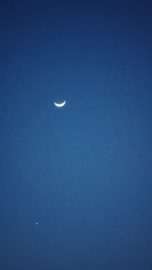Free stock photo of moon Stock Photo