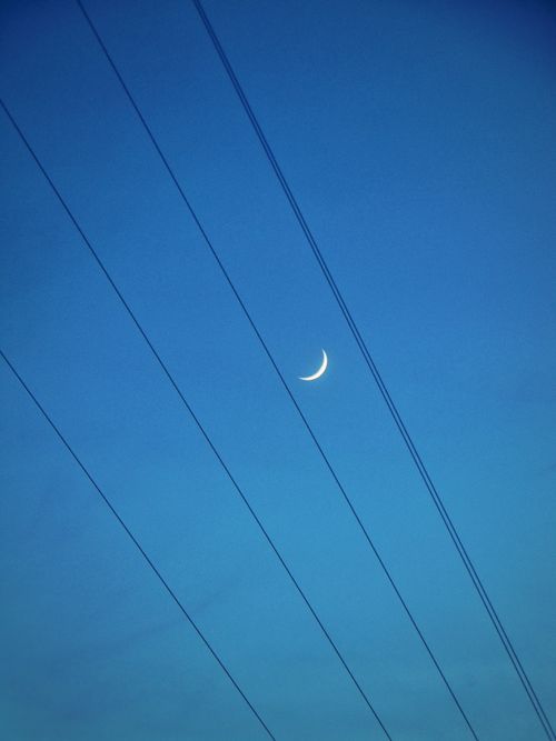Free stock photo of moon Stock Photo