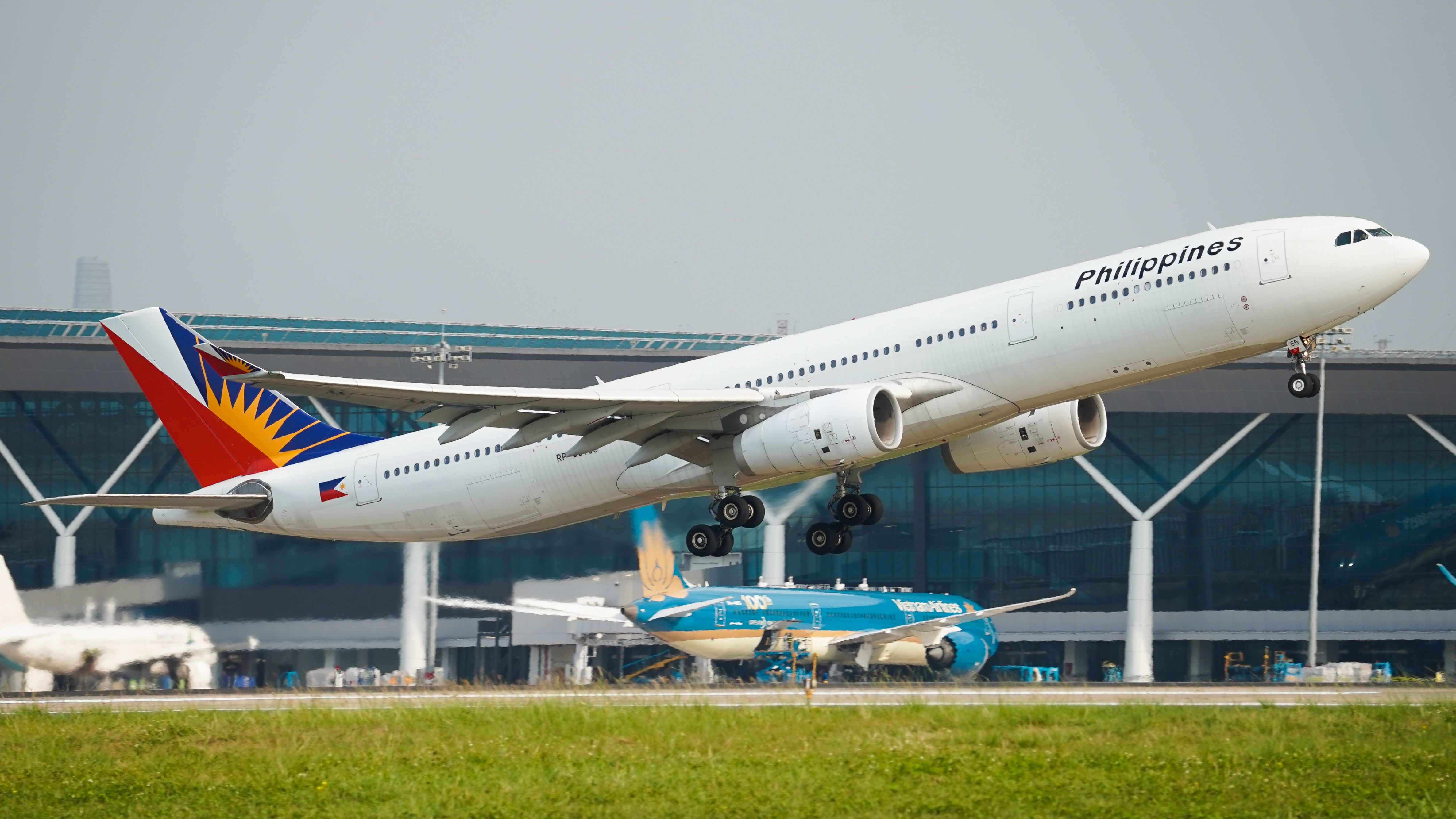 Philippine Airlines Expands In-Cabin Pet Program for Domestic Flights