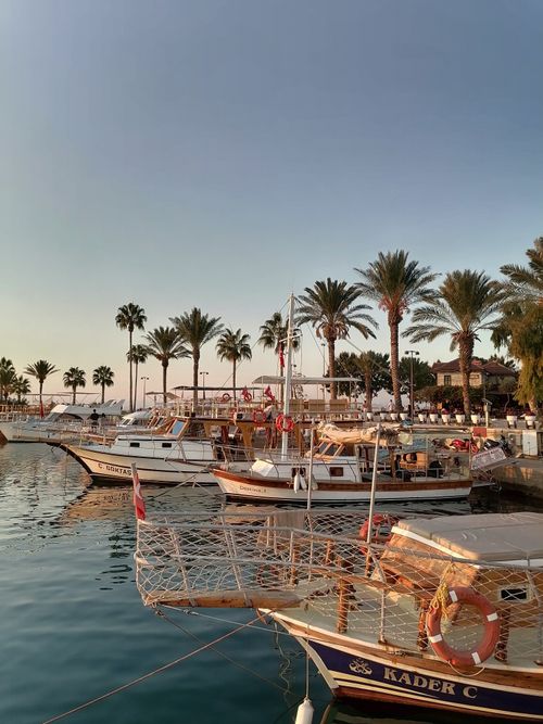 Free Serene harbor scene with docked boats and palm trees at sunset. Stock Photo