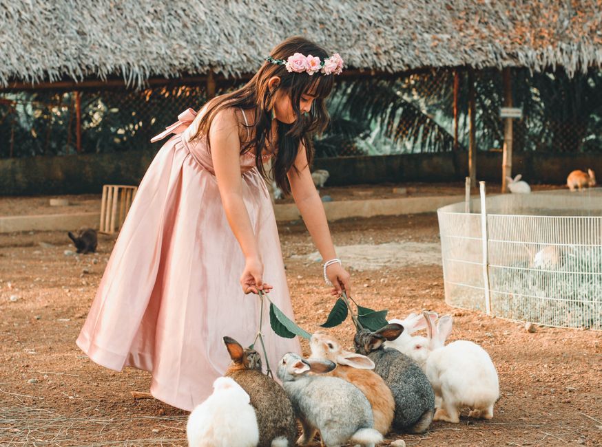 Young girl in a pink dress feeds rabbits in a sunny outdoor setting.