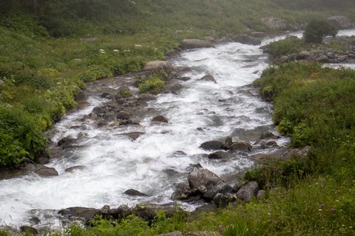 Free A tranquil mountain river flows through lush greenery in Rize, Türkiye, captured in a natural and serene setting. Stock Photo