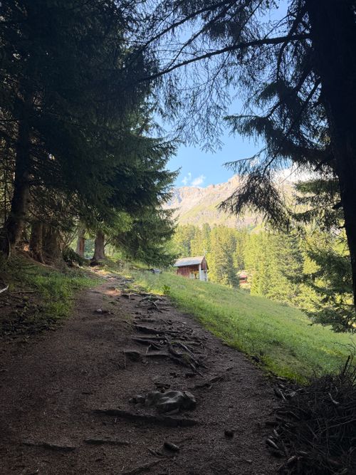 Free A tranquil forest path leading to a picturesque mountain scene under a clear blue sky. Stock Photo