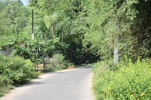 A vibrant slot machine with colorful candy designs, perfect for the theme of Sugar Rush 1000.