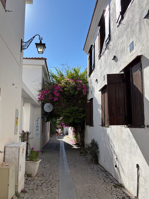 Free Picturesque cobblestone alley in Alaçatı, İzmir with vibrant flowers and whitewashed buildings. Stock Photo