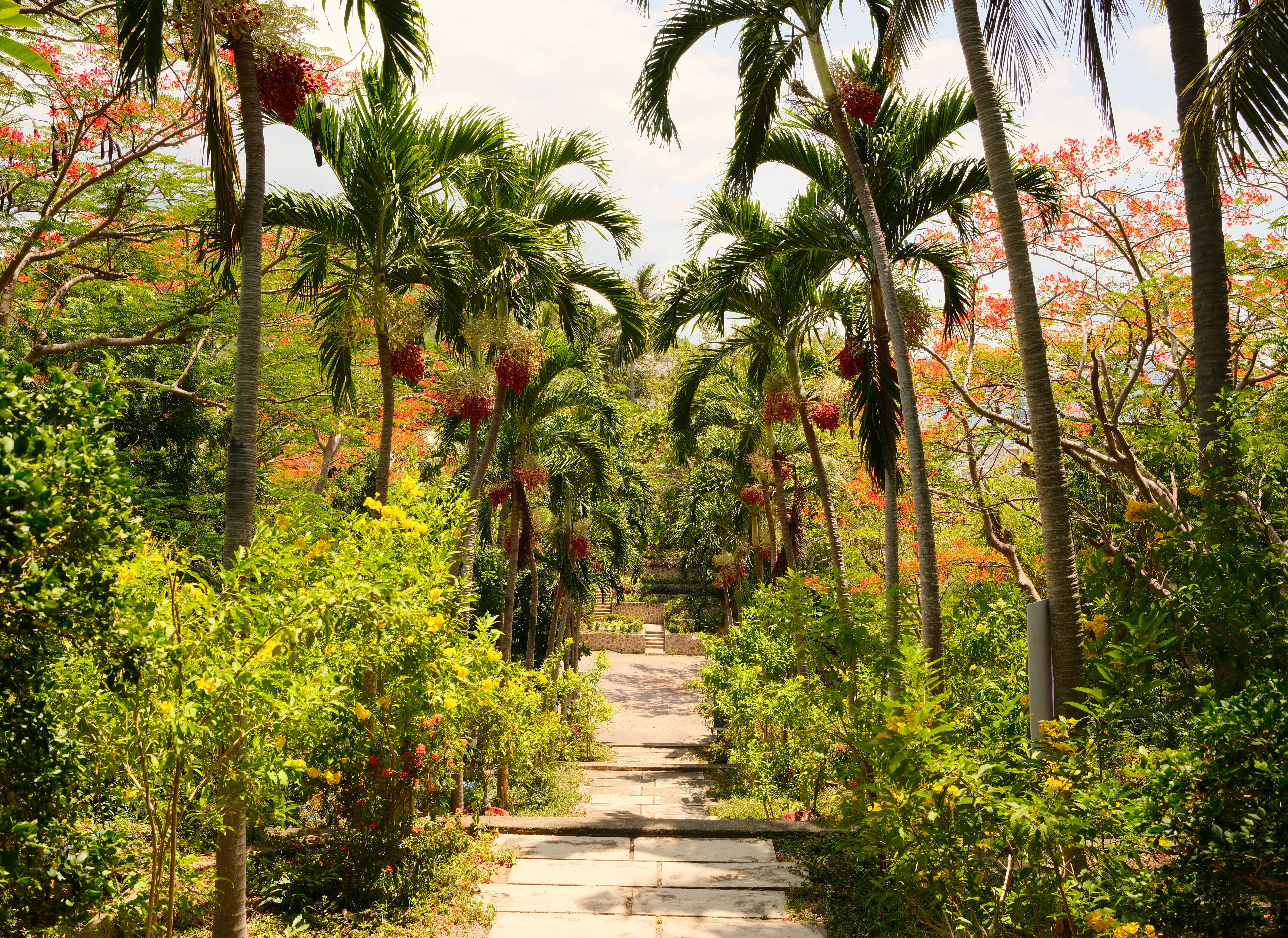 Andromeda Botanic Gardens