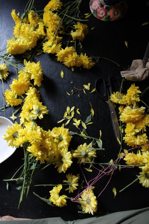 Free Bright yellow chrysanthemums scattered on a dark table, evoking a warm and creative mood. Stock Photo
