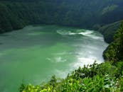 俯瞰茂密森林中一片生机勃勃的绿色湖泊