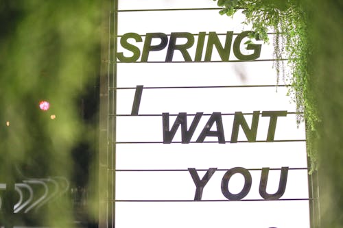 Free Sign glowing in white light consisting of several compartments with black inscription Spring I Want You surrounded by blurred green plants in evening on street Stock Photo