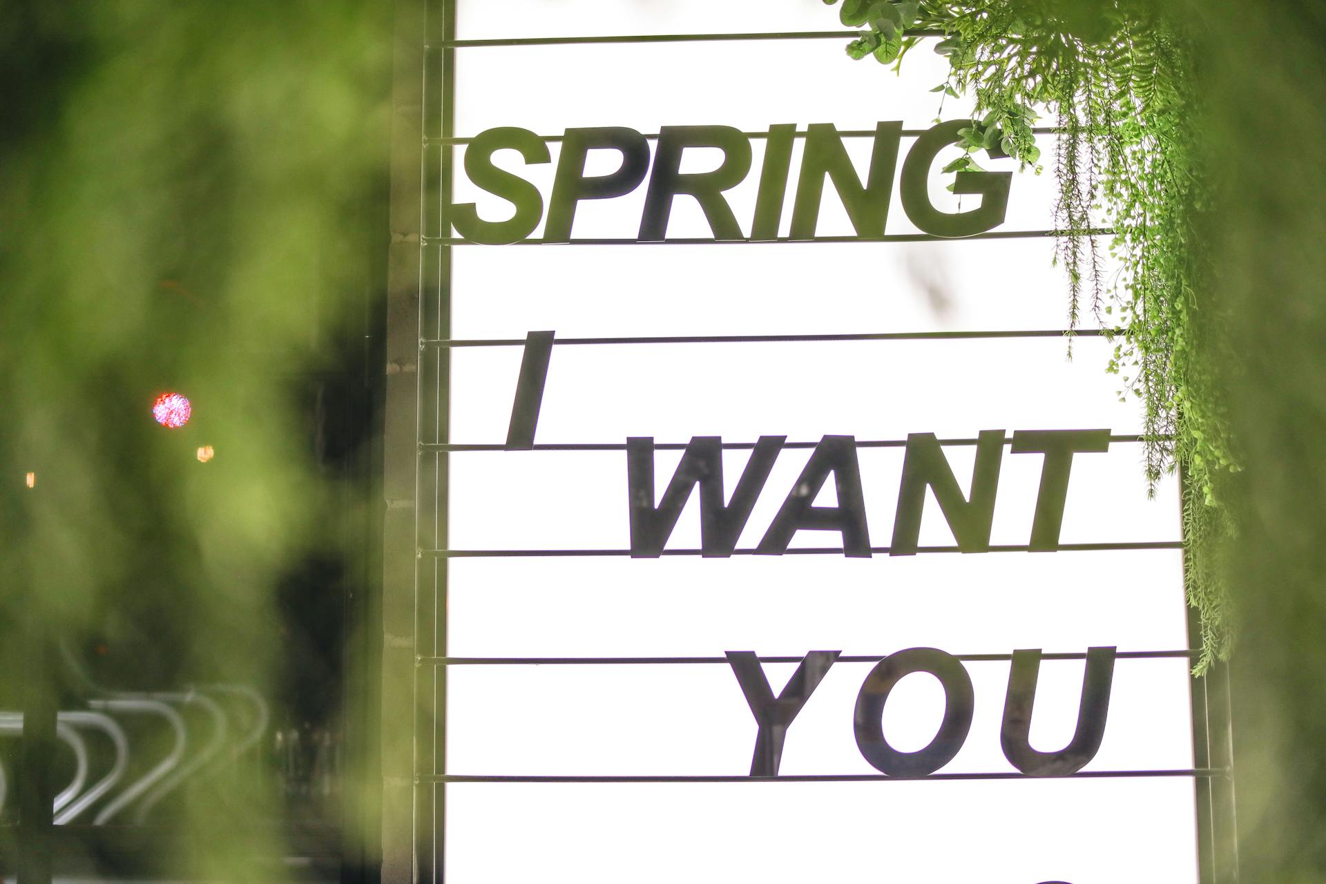Sign glowing in white light consisting of several compartments with black inscription Spring I Want You surrounded by blurred green plants in evening on street