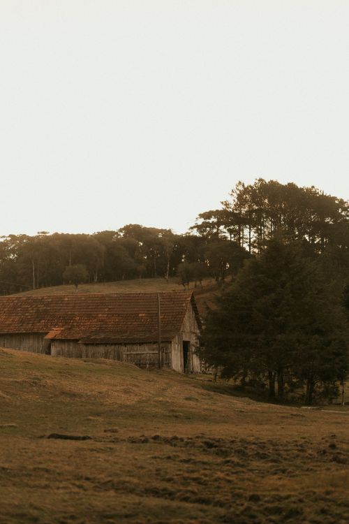 Free A serene scene of a rustic barn nestled in a peaceful rural landscape under a warm, golden sky. Stock Photo
