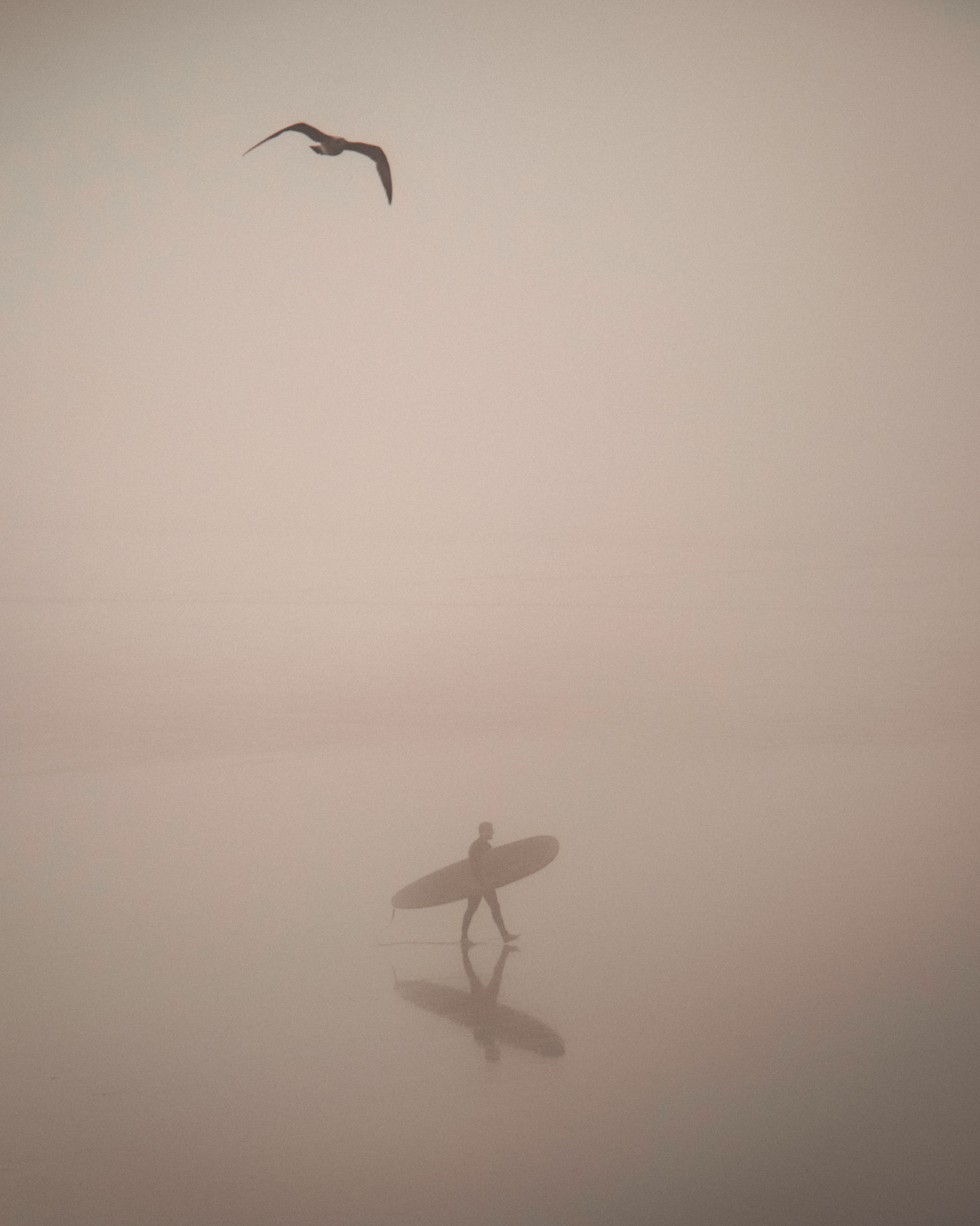 A lone surfer walks through misty beach waters with a bird flying overhead, creating a serene scene.