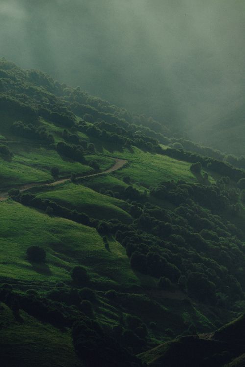 Free Aerial view of lush green hills in Chechnya under soft sunlight, showcasing nature's beauty. Stock Photo