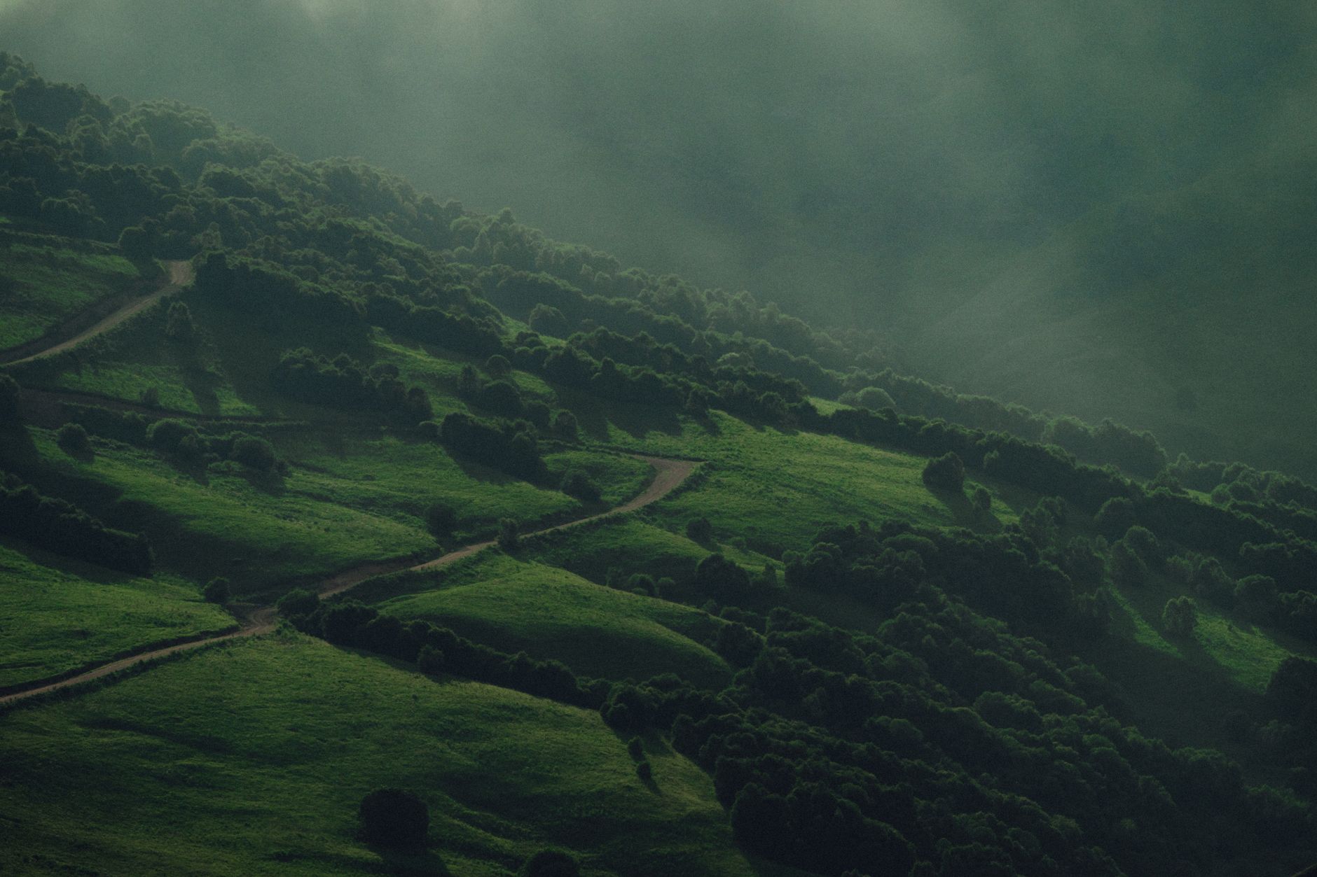 Beeindruckender Nebel & Grün – Anime-Stil Hintergrundbild