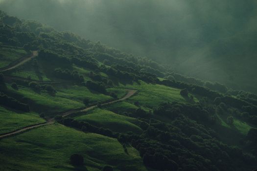 Beeindruckender Nebel & Grün – Anime-Stil Hintergrundbild