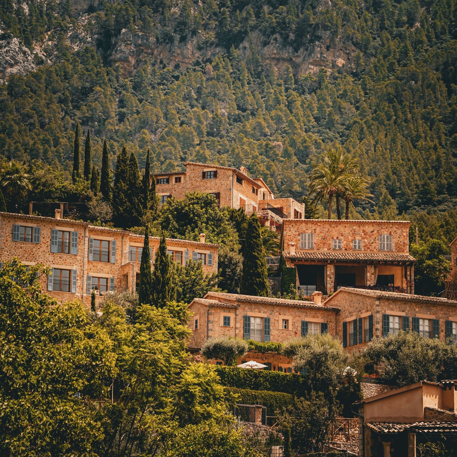 A hillside village among cypress and pine — photo by Johanna on Pexels