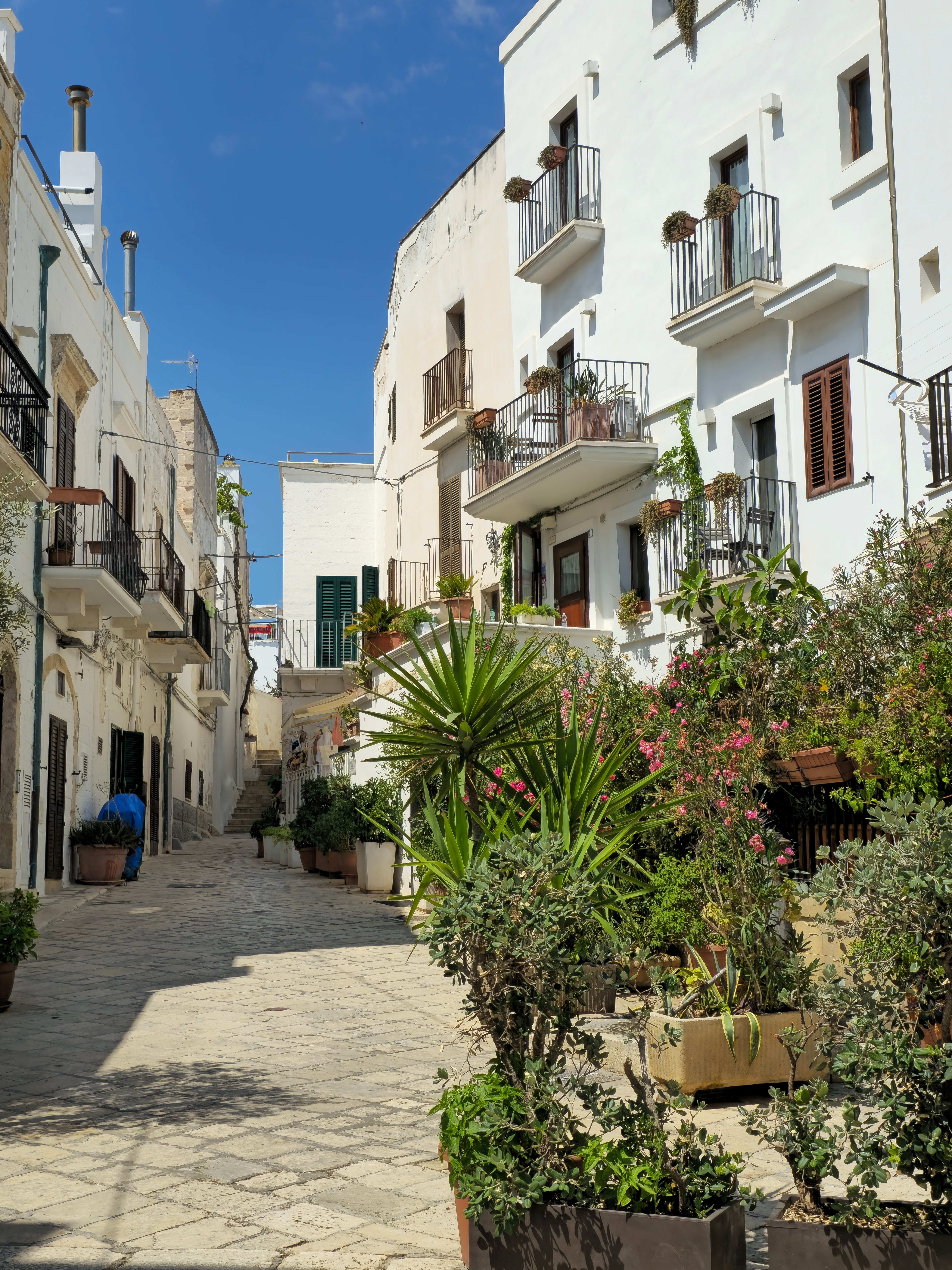 Discover a quaint street in Pouilles, Italy, lined with greenery and traditional Mediterranean architecture.