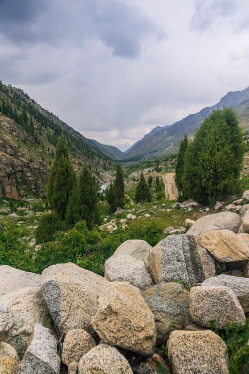 Free Tranquil view of a summer mountain valley with lush greenery and rocks. Stock Photo