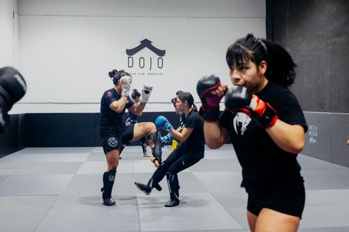 Free Female martial artists practicing at a dojo in Buenos Aires, showcasing skill and concentration. Stock Photo