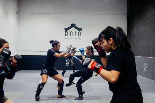Free Women practicing martial arts techniques at a dojo in Buenos Aires, Argentina. Stock Photo