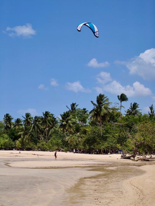 Free A scenic tropical beach in Samaná, Dominican Republic with kite surfing under a clear blue sky. Stock Photo