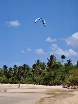 A scenic view of kitesurfing on a tropical beach in Samaná, Dominican Republic.