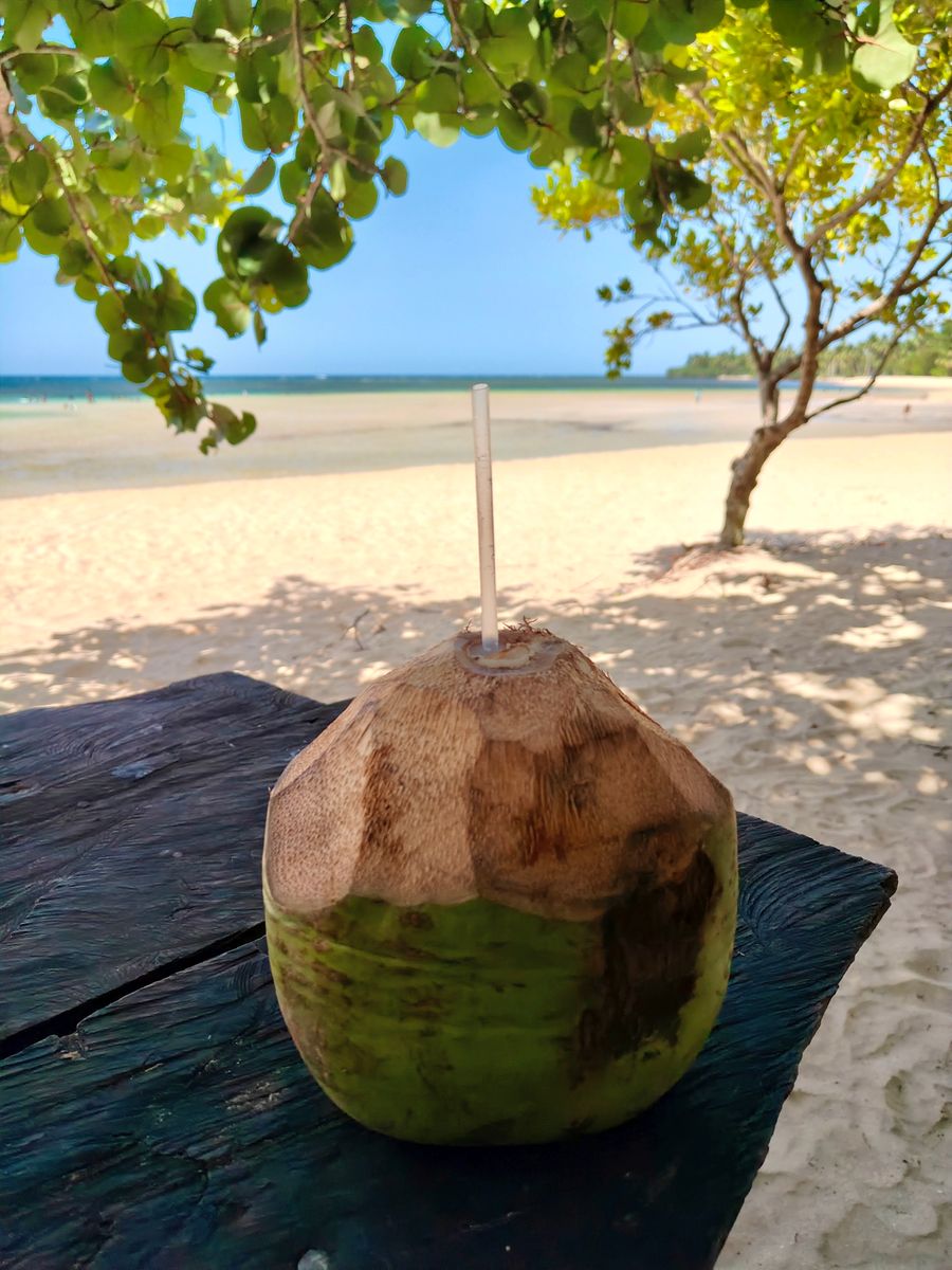 Fresh coconut drink on a beach table in Samaná