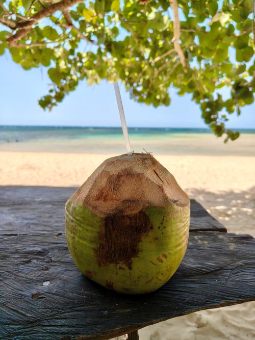 Free Refreshing coconut drink with a straw on a tropical beach in Samaná, Dominican Republic. Stock Photo