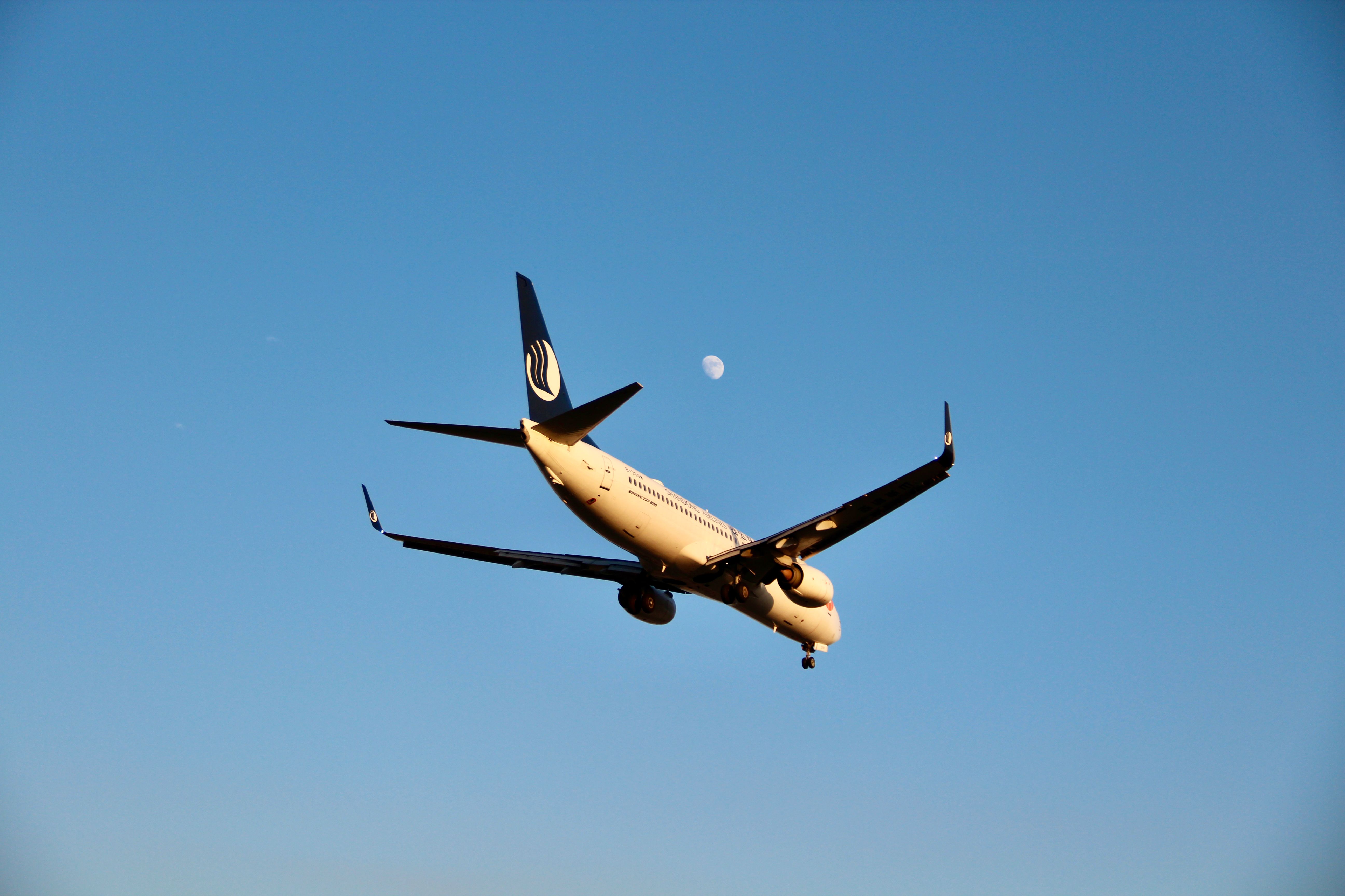 airline miles, frequent flyer, travel rewards, credit card points, airline alliances, Airlines & points — Photo by Anderson W