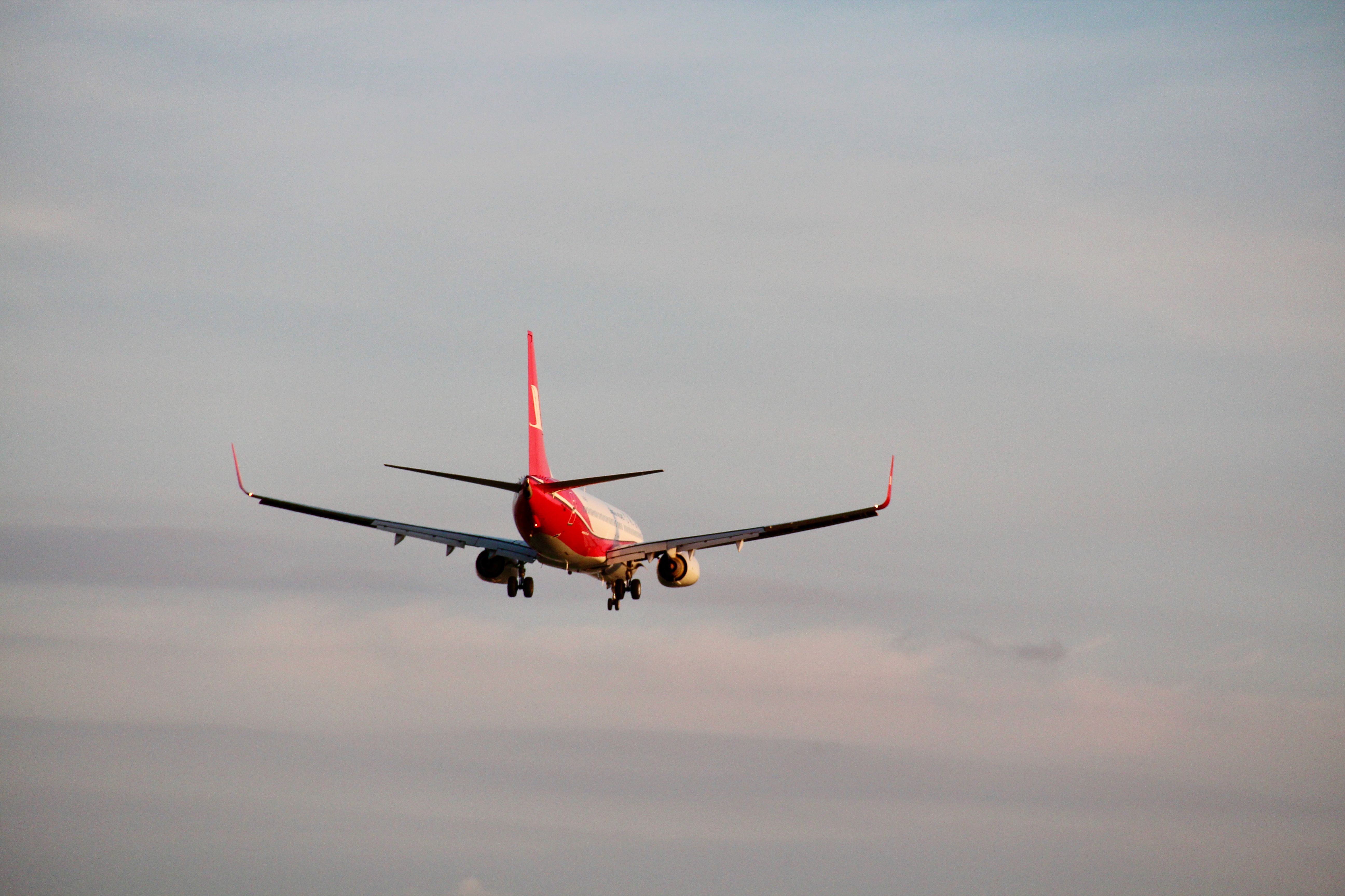 What the easyJet takeover means for budget travel — Photo by Anderson Wei on Pexels