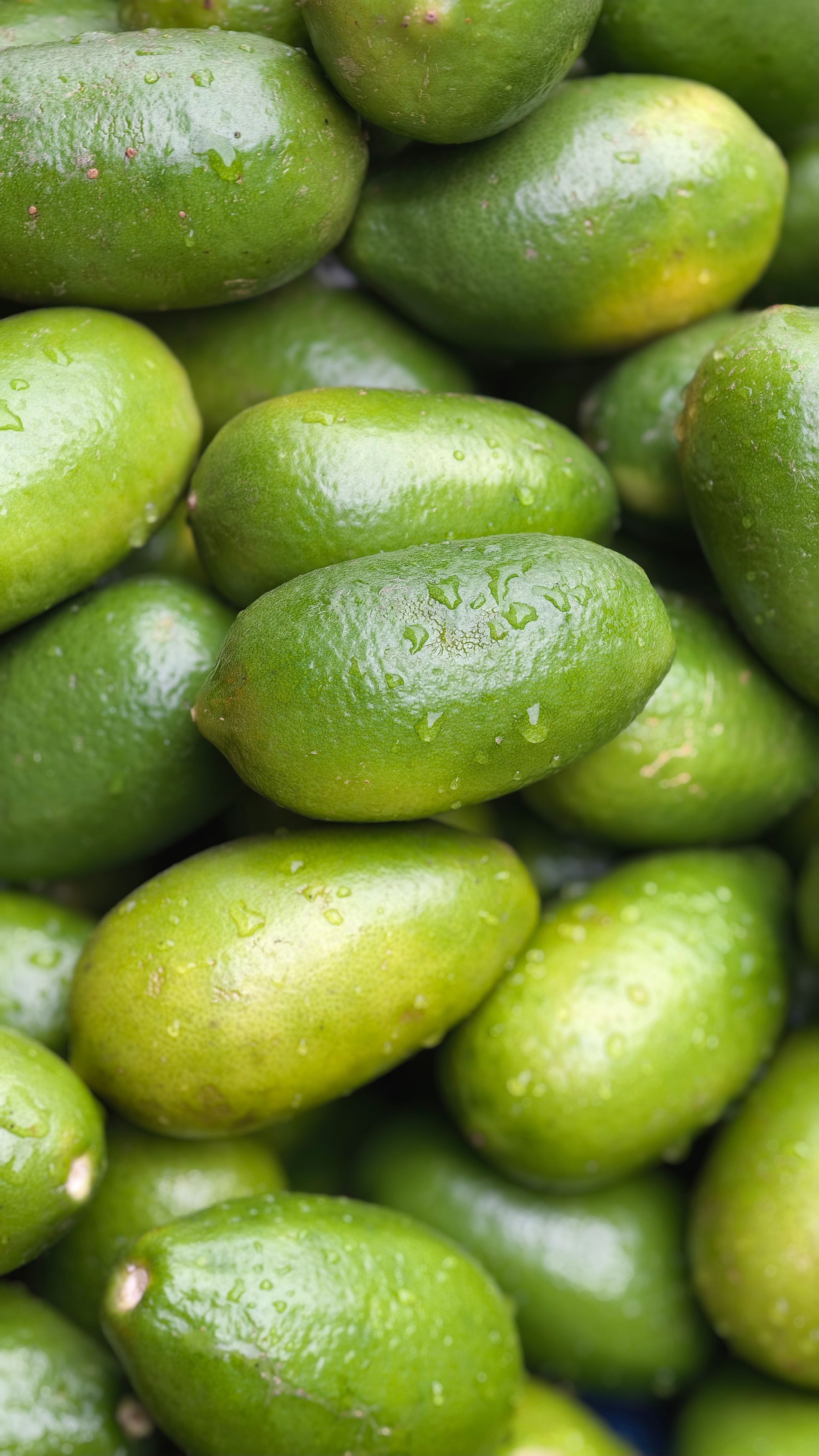 A close-up of fresh green limes with water droplets, capturing their vibrant texture.