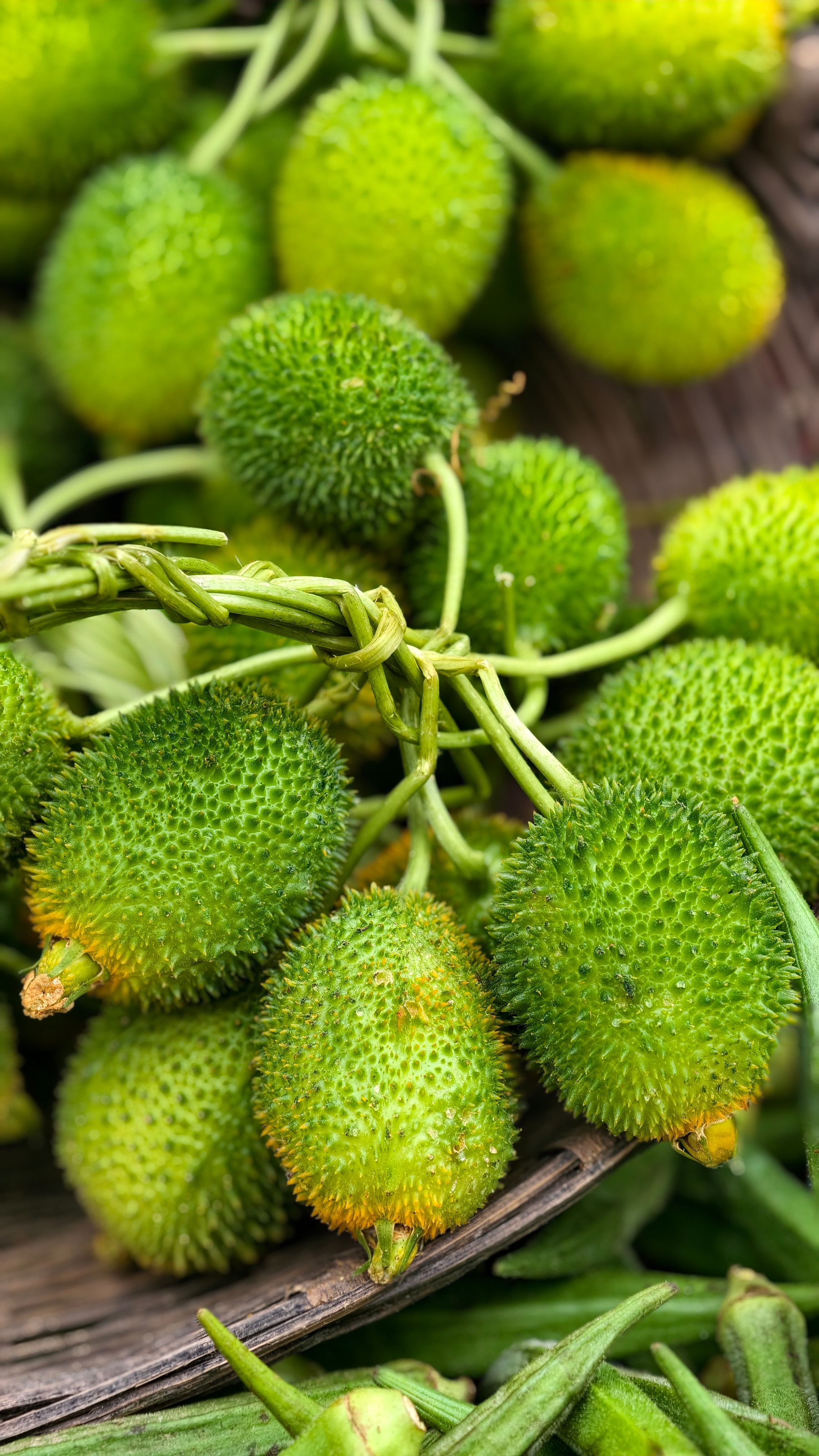 Close-up of vibrant green spiny gherkin fruits displayed on a rustic wooden surface, ideal for market or culinary themes.
