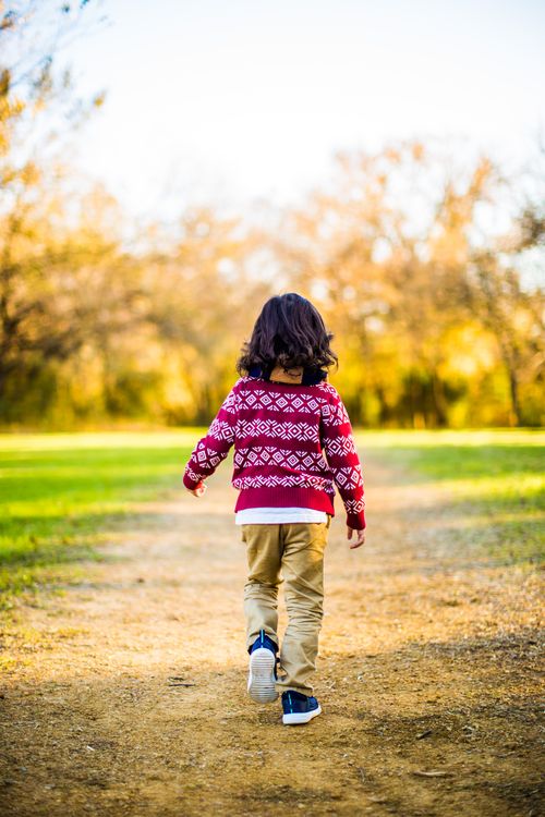 Free A young child in a sweater walks on a path through a sunlit autumn park, surrounded by colorful leaves. Stock Photo