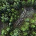 Trailhead Explorer app icon: aerial view of a winding path through green hills — photo by Björn Austmar Þórsson on Pexels