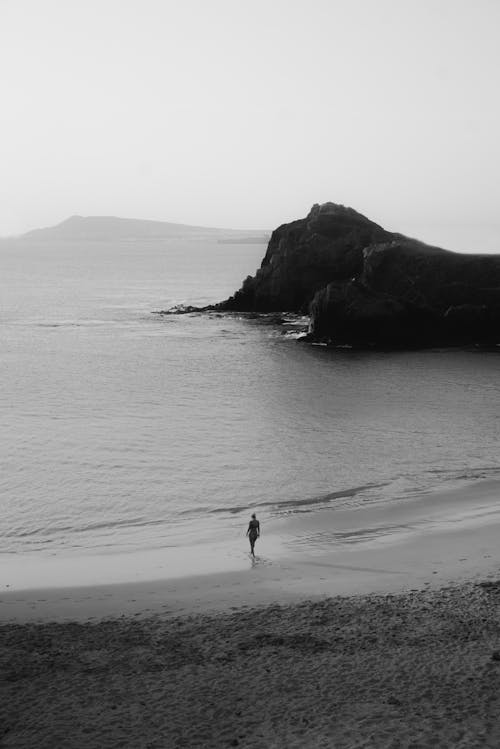 在海灘上行走的人的灰度照片
