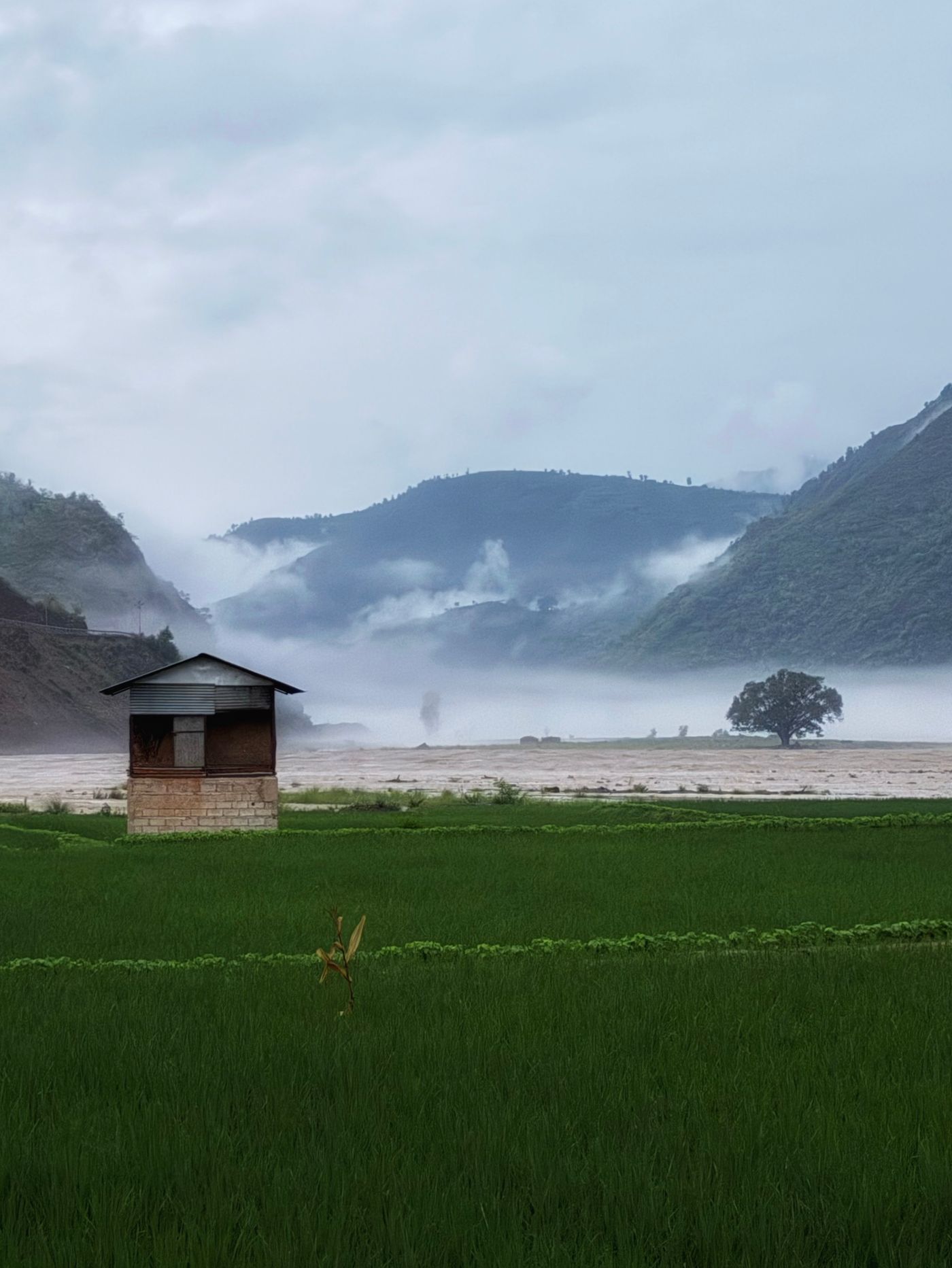 Green valley and fields beneath mist-covered mountains