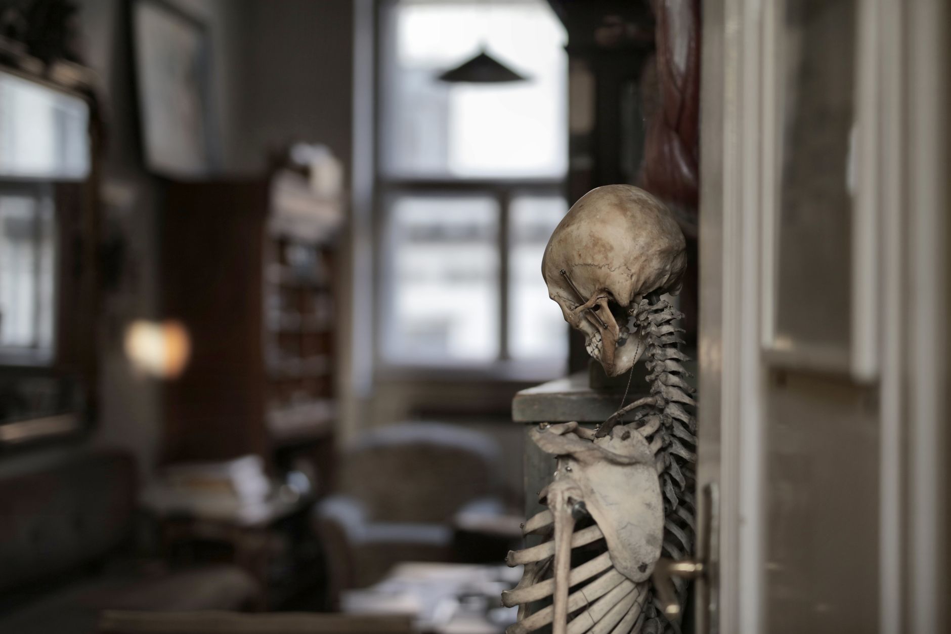 Human skeleton in selective focus leaning on wall with bowed head in dark old room of museum building