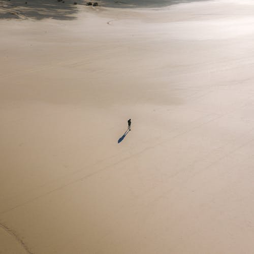 Free Lonely person standing on sandy terrain Stock Photo