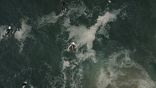 海でサーフィンするウェットスーツの人々