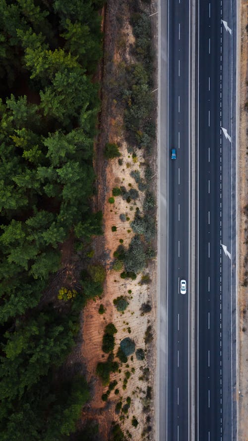 Free Asphalt highway passing through forest Stock Photo