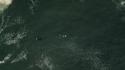 Surfers in dark ocean water