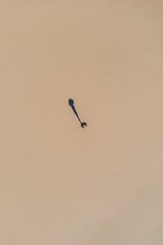 Drone view from height of traveler silhouette with shadow on empty sand in sunlight