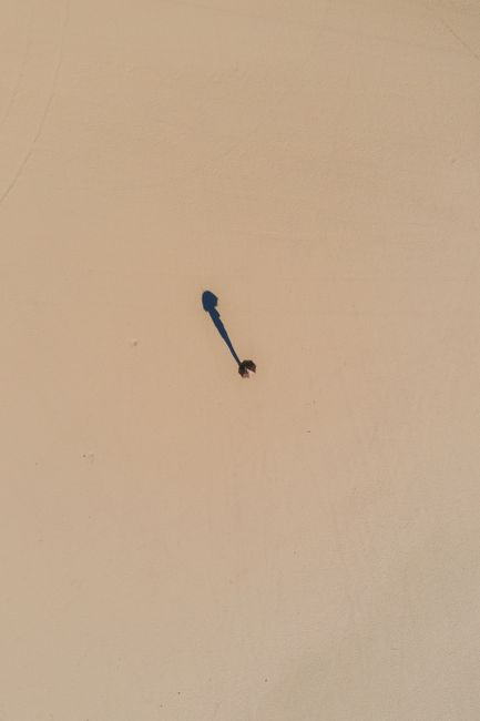 Drone view from height of traveler silhouette with shadow on empty sand in sunlight