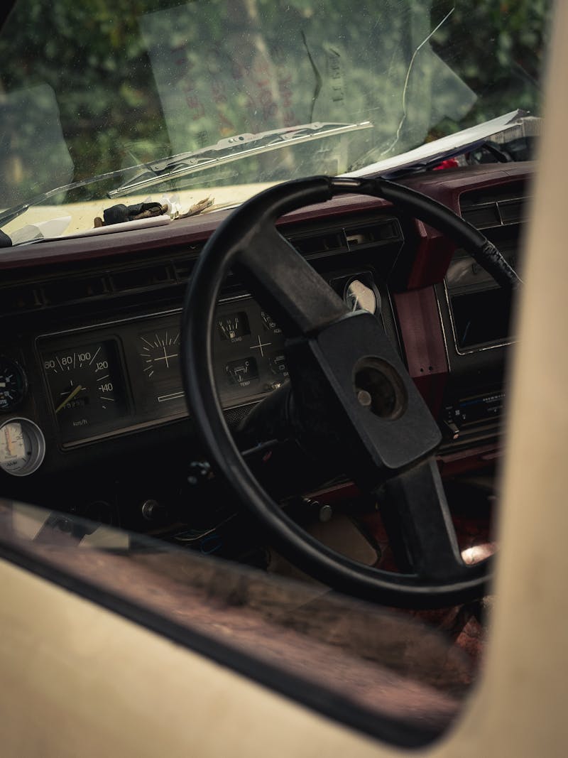 Macro close-up of a bed bug on fabric, South Florida bed bug infestation
